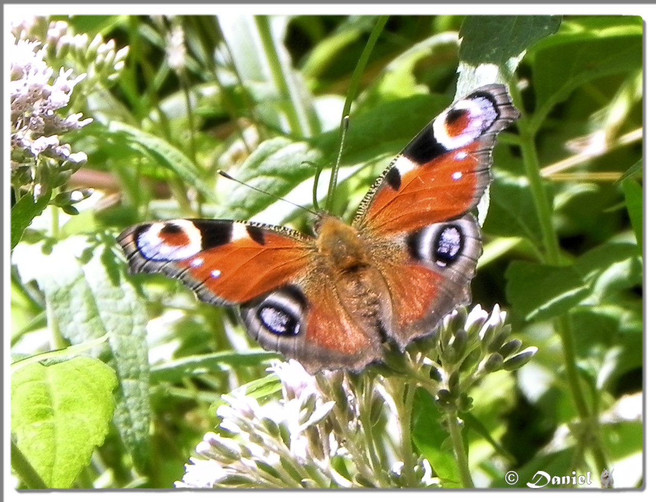 Les erreurs courantes en séduction à éviter absolument